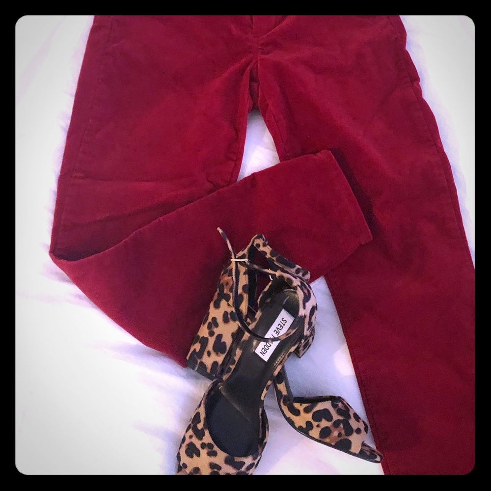 New with tags! Velvet, petite, Gap pants.